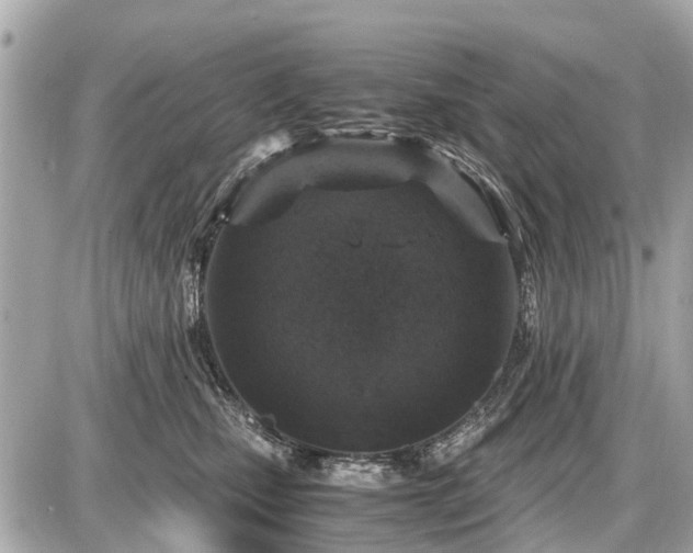 X0000087520471200705041217