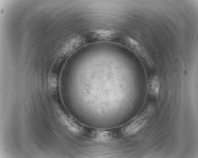 X0000087520472200705041217