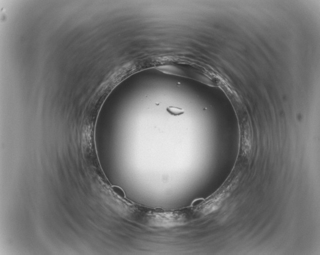 X0000087520473200705041217