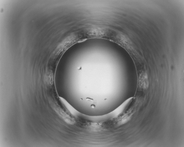 X0000087520474200705041217