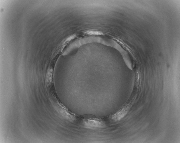 X0000087520475200705041217