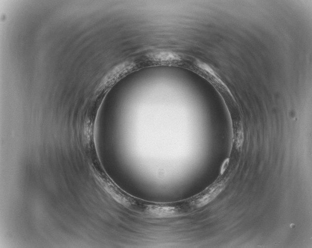 X0000087520476200705041217