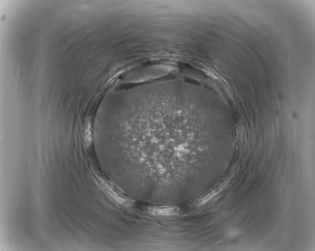 X0000087520479200705041217