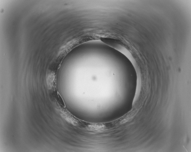 X0000087520480200705041217