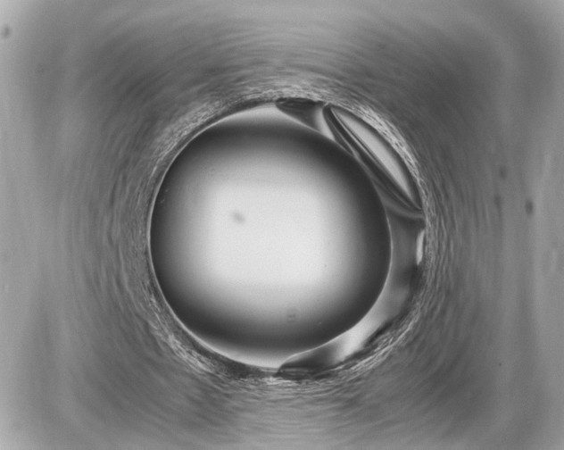 X0000087520481200705041216