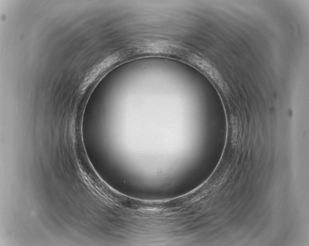 X0000087520482200705041216