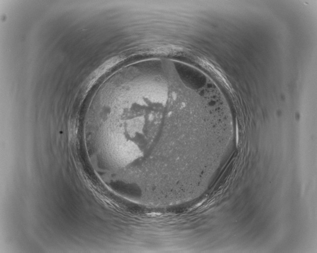 X0000087520483200705041216