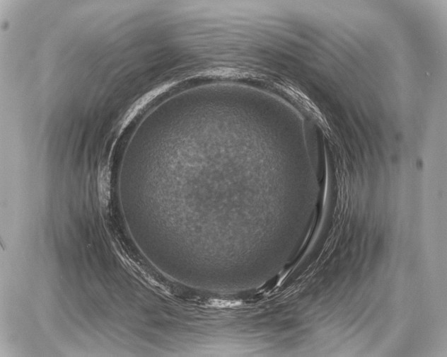 X0000087520484200705041216