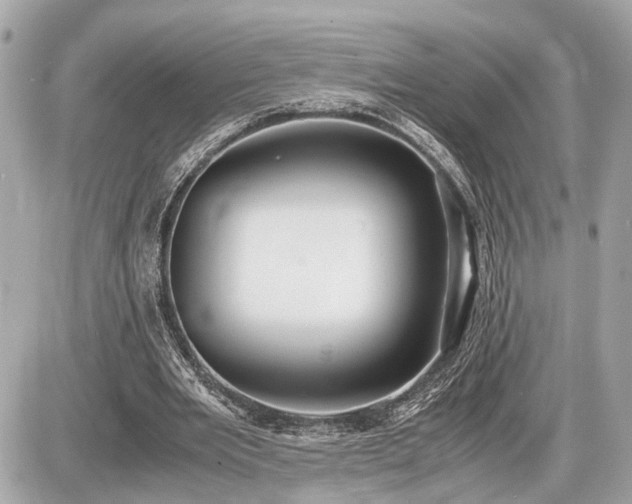 X0000087520485200705041216