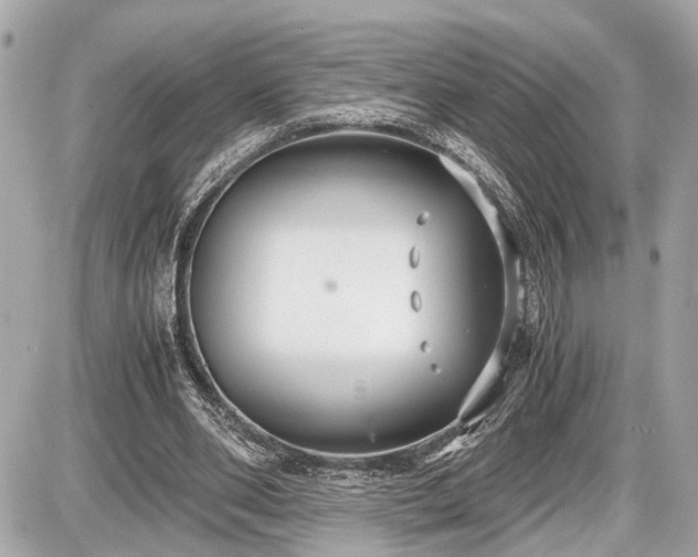 X0000087520486200705041216