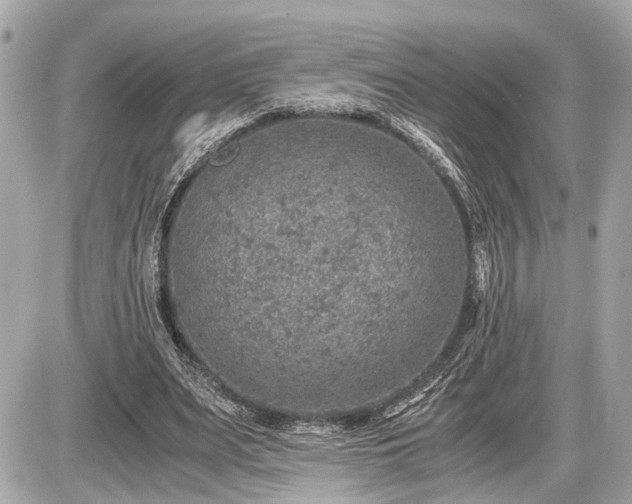 X0000087520487200705041216