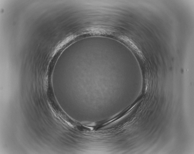 X0000087520488200705041216