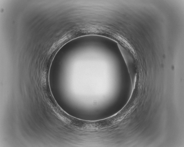 X0000087520489200705041216