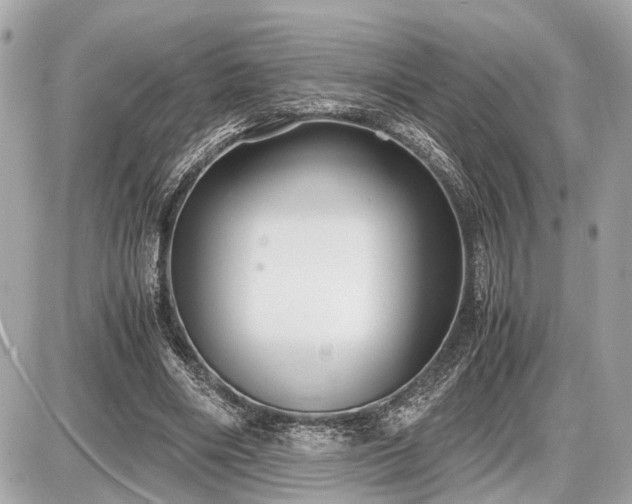 X0000087520490200705041216