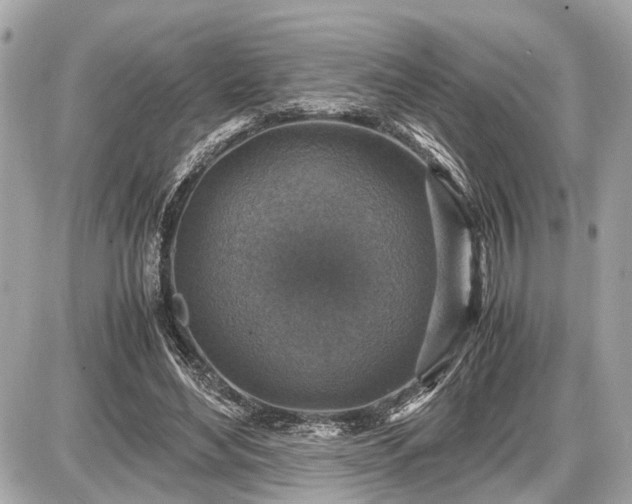 X0000087520492200705041216