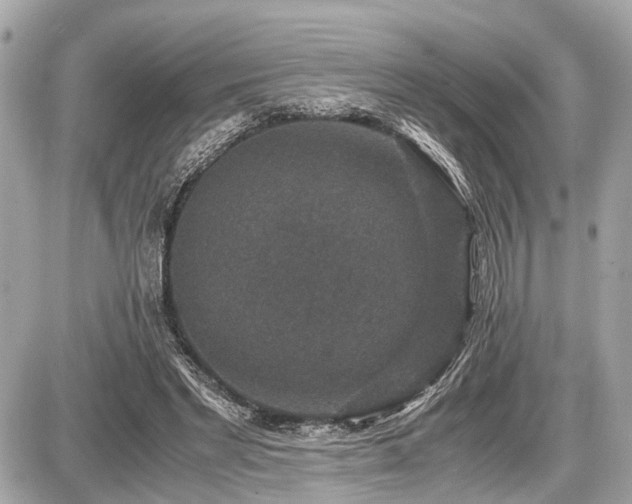 X0000087520493200705041216