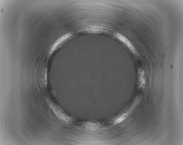 X0000087520494200705041216