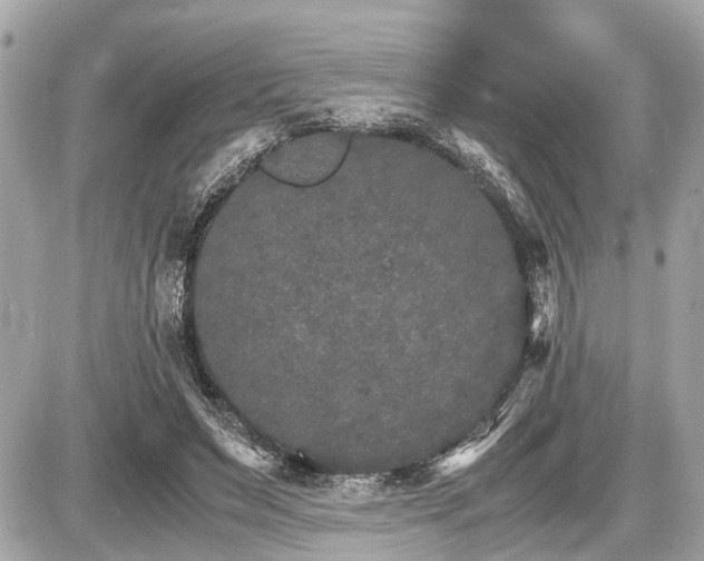 X0000087520495200705041216