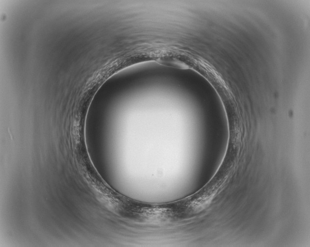 X0000087520497200705041216