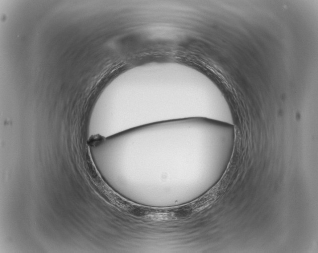 X0000087520499200705041216