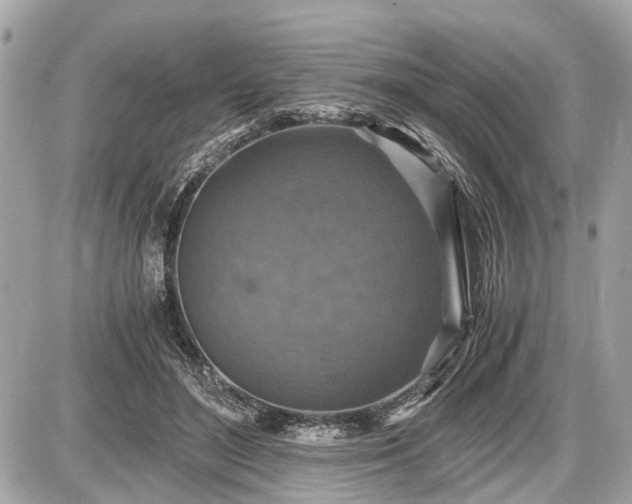 X0000087520500200705041216