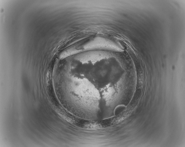 X0000087520503200705041216