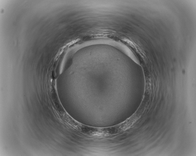 X0000087520504200705041216