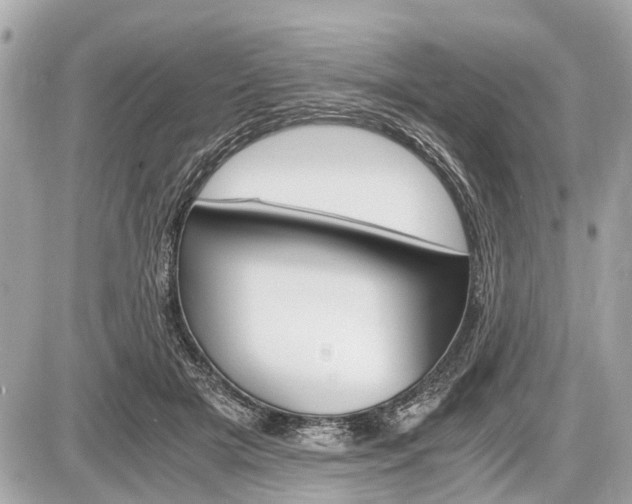 X0000087520505200705041216