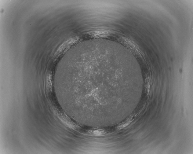 X0000087520506200705041216