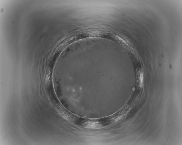 X0000087520507200705041216