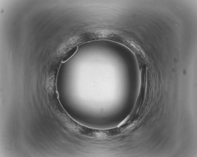 X0000087520509200705041216