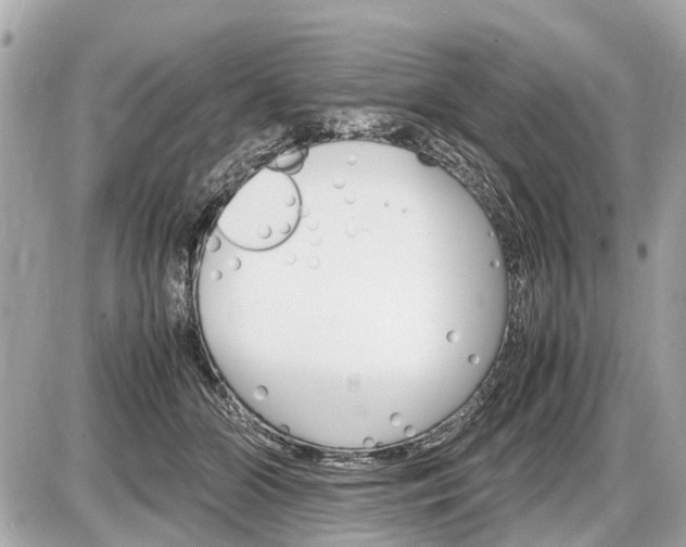 X0000087520510200705041216