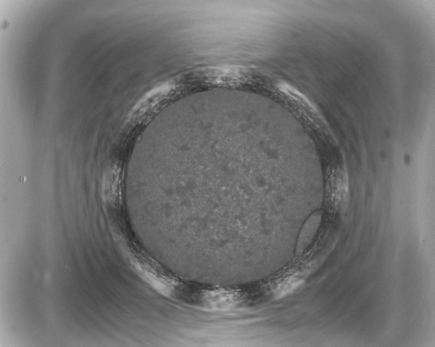 X0000087520511200705041216