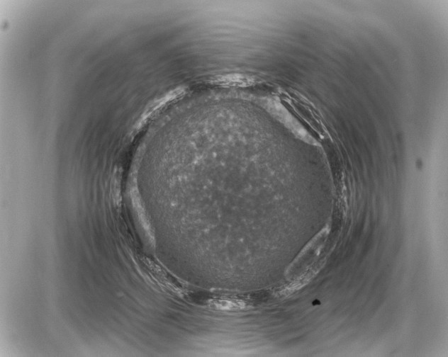 X0000087520512200705041216