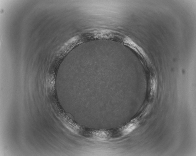 X0000087520513200705041216