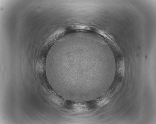 X0000087520515200705041216