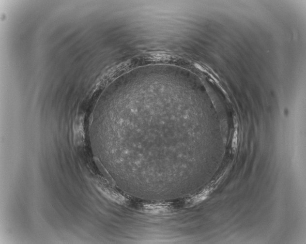 X0000087520516200705041216