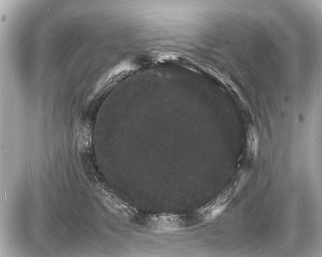 X0000087520517200705041216