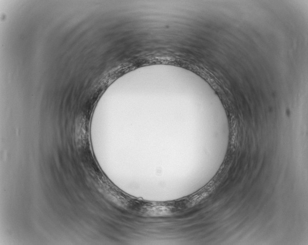 X0000087520518200705041216