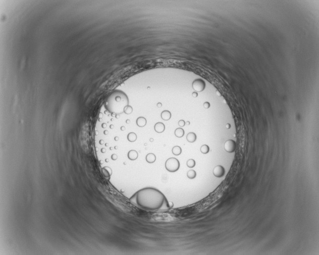 X0000087520519200705041216