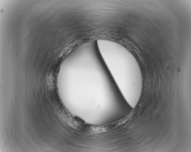 X0000087520520200705041216