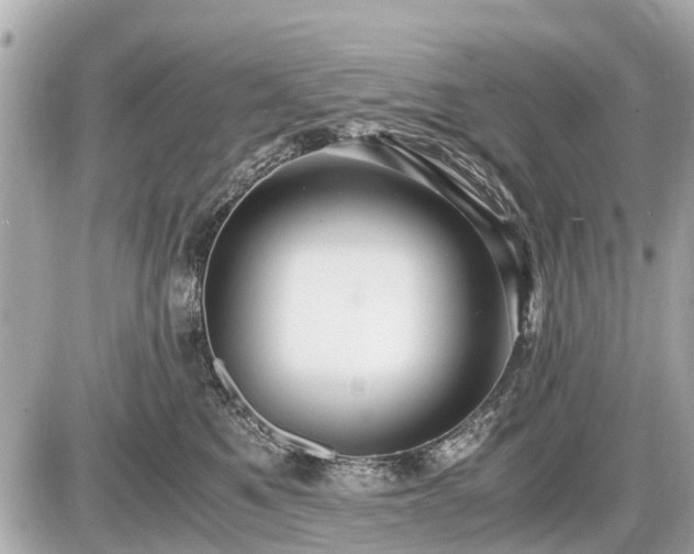 X0000087520521200705041216