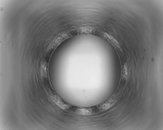 X0000087520522200705041216