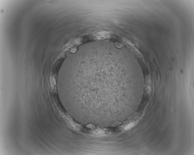 X0000087520523200705041216