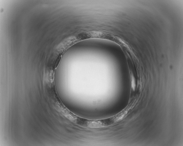 X0000087520525200705041216