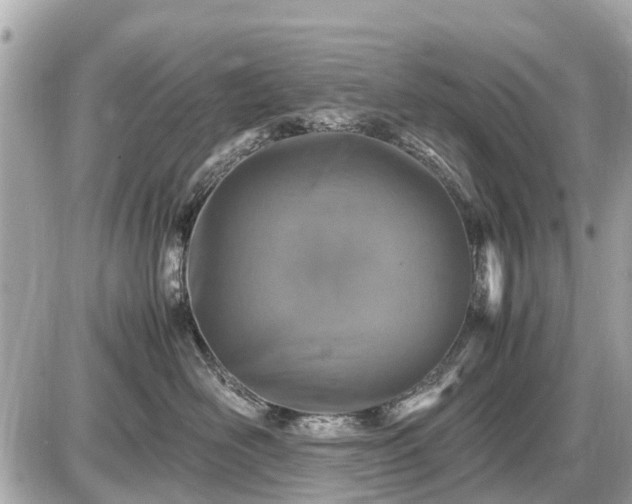 X0000087520526200705041216