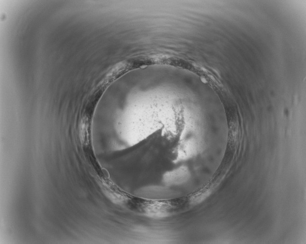 X0000087520527200705041216