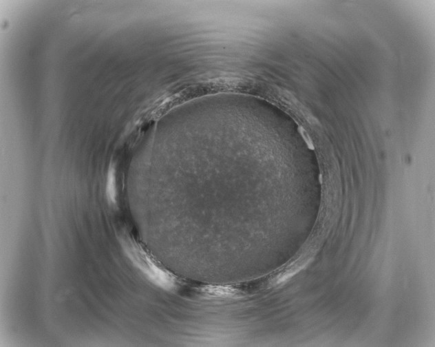 X0000087520528200705041216