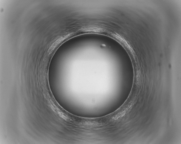 X0000087520529200705041215