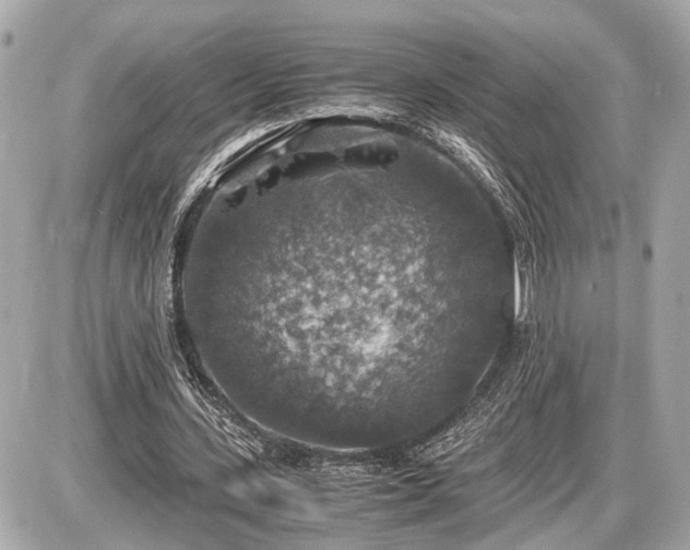 X0000087520531200705041215